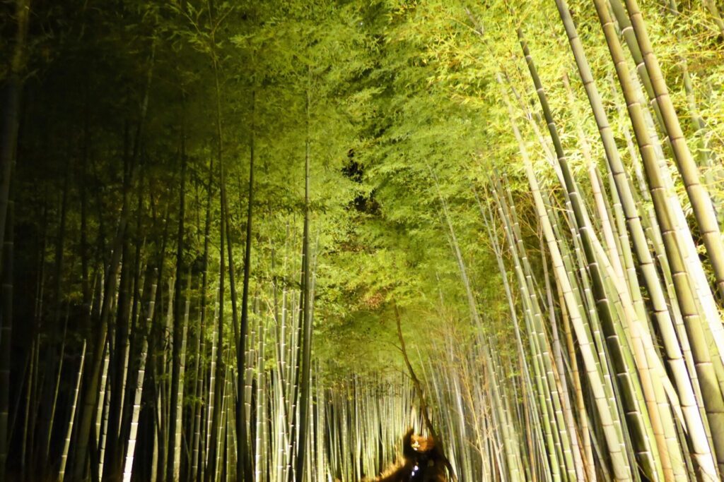 嵐山竹林小徑