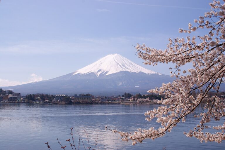 河口湖畔的富士山與櫻花