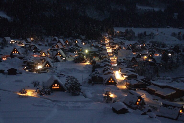 冬天夜裡的白川鄉合掌村