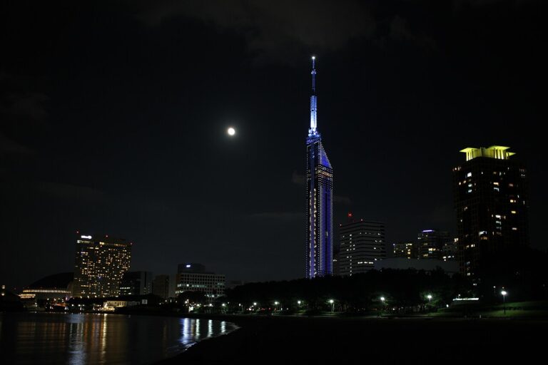 夜晚的福岡塔與百道海濱