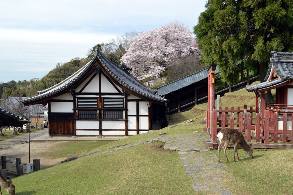 奈良公園裡的鹿與東大寺一帶