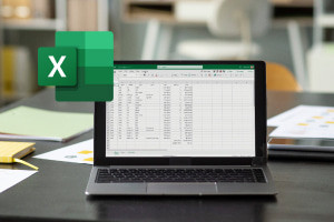 Official Alison visual for Microsoft Excel 365: From Beginner to Pro