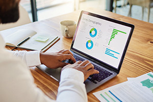 Official Alison visual for Introduction to Power BI