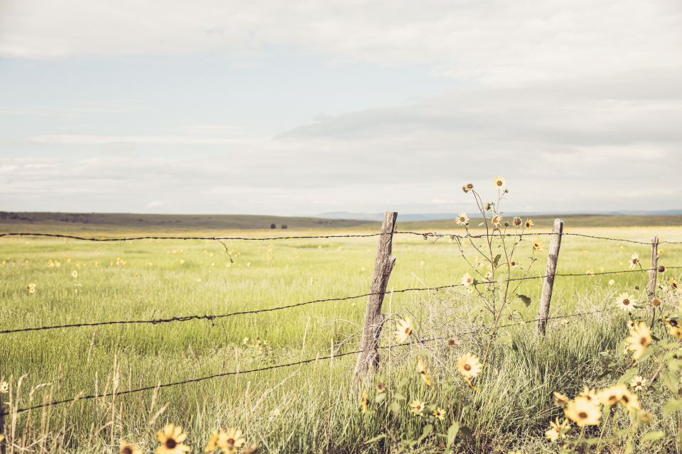 Fence Post