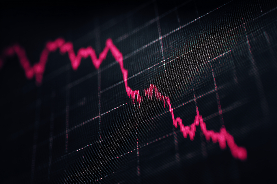 Stock Market