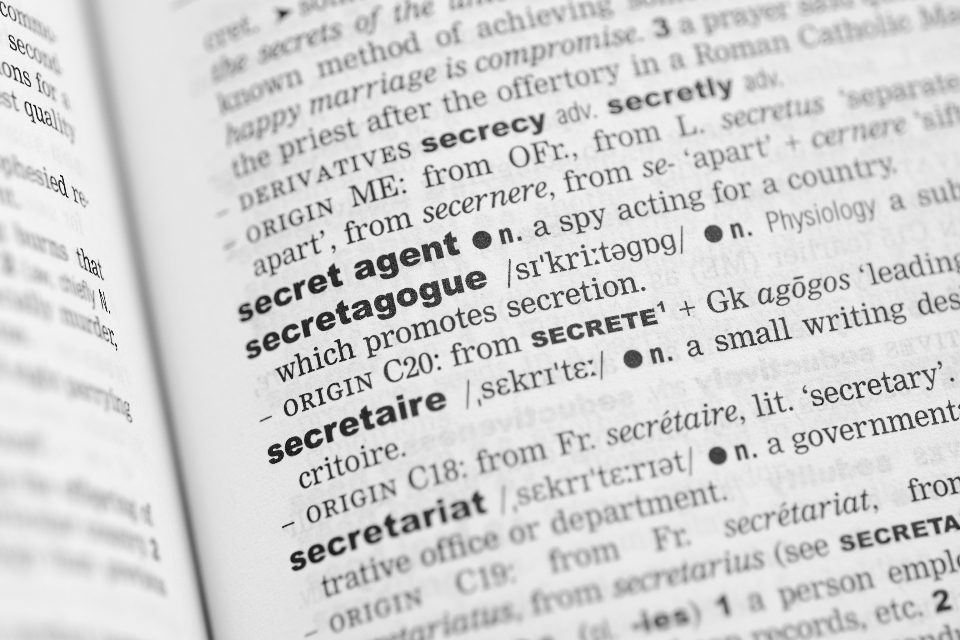 Dictionary Page