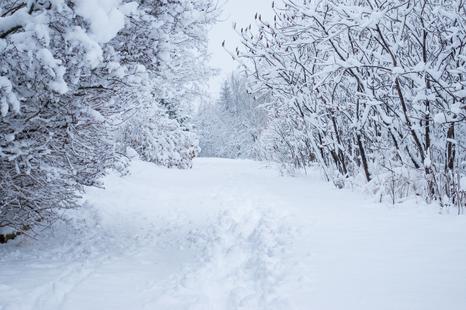 Snowy Hiking