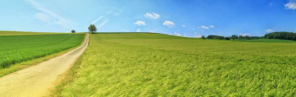 Green Farm