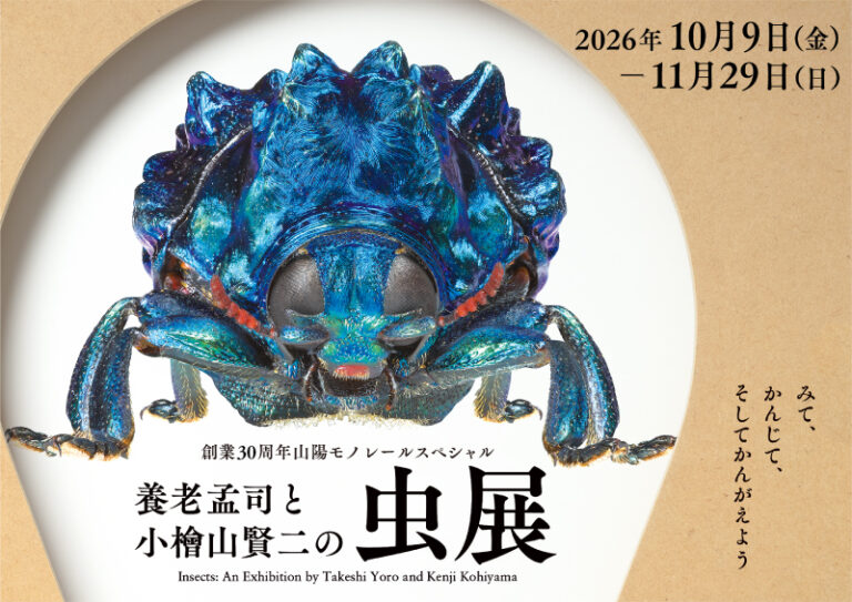 虫展