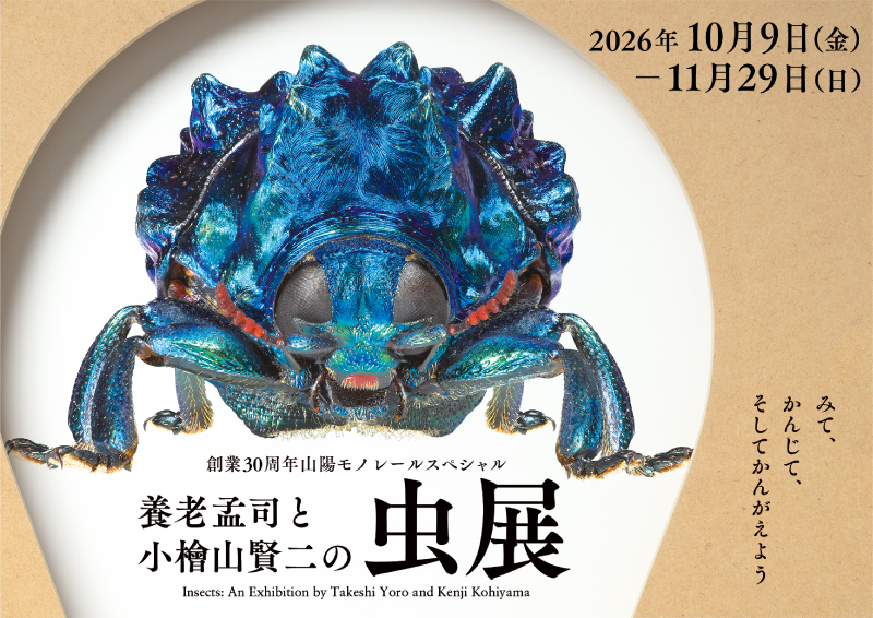 虫展