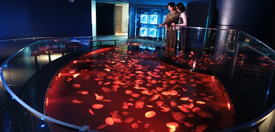 墨田水族館