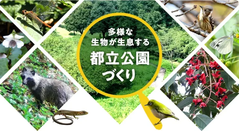 代代木公園