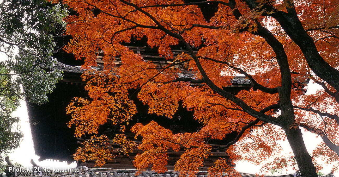 金戒光明寺