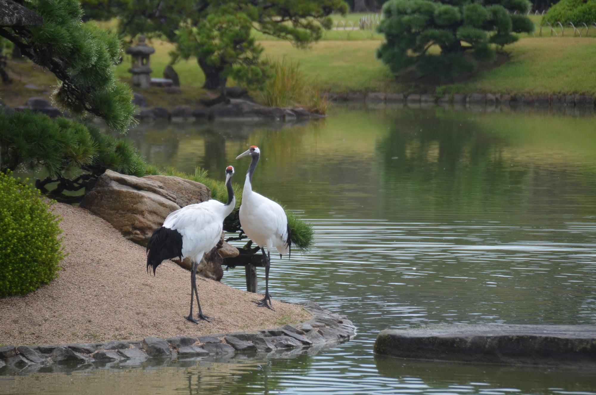 岡山後樂園