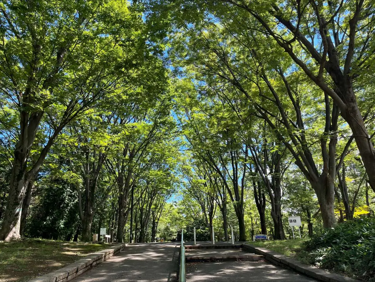 代代木公園