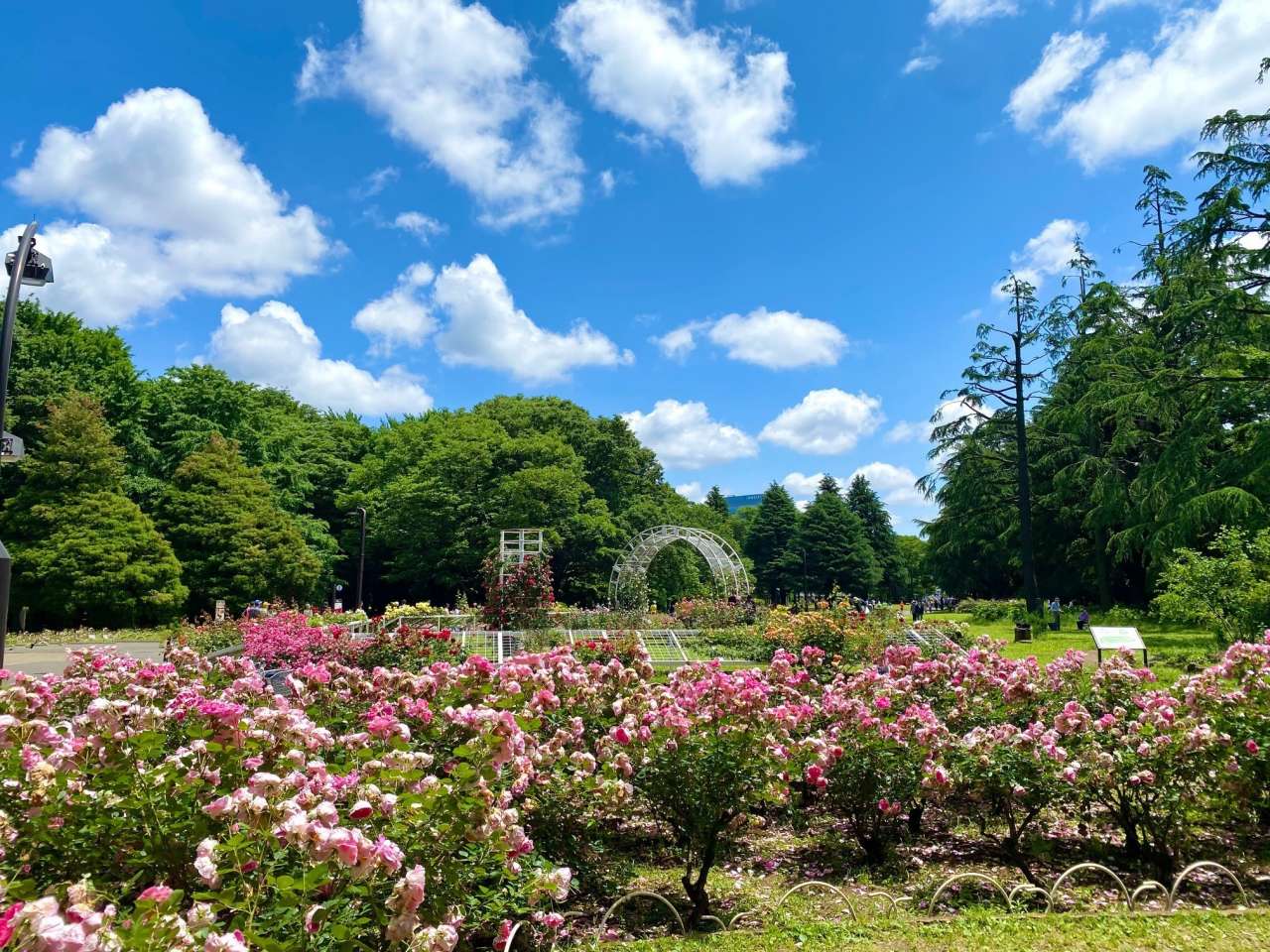 代代木公園