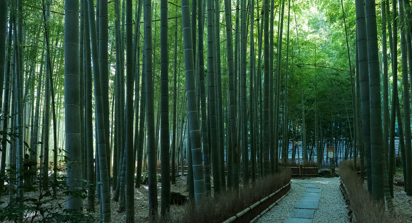 報國寺